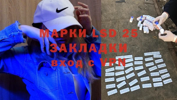 индика Медногорск