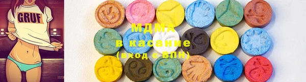 индика Медногорск