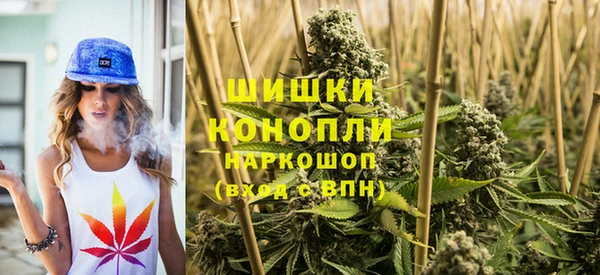 индика Медногорск