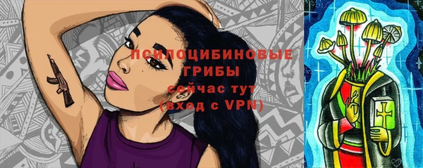 герыч Сосновый Бор