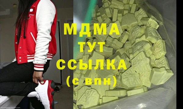 индика Медногорск