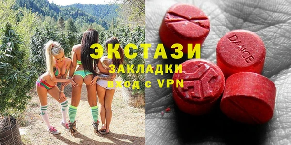 индика Медногорск
