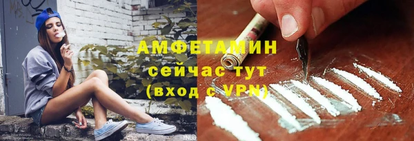 индика Медногорск