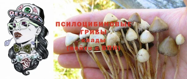 PSILOCYBIN Белоозёрский