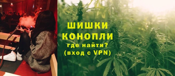 индика Медногорск