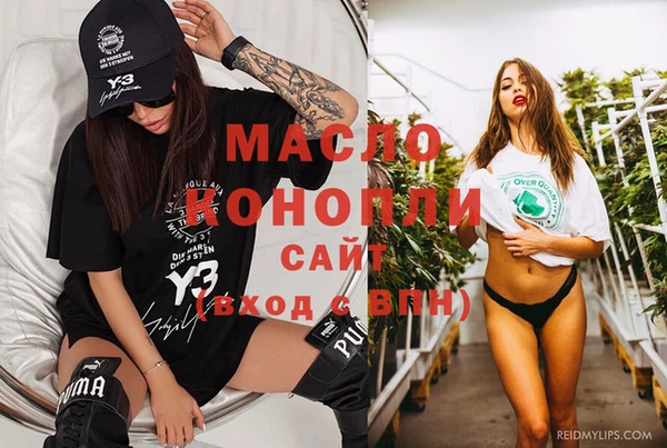индика Медногорск