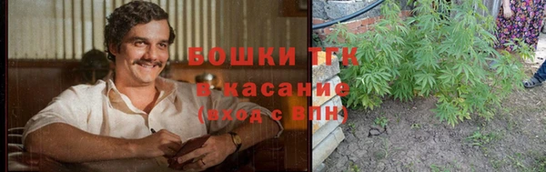индика Медногорск