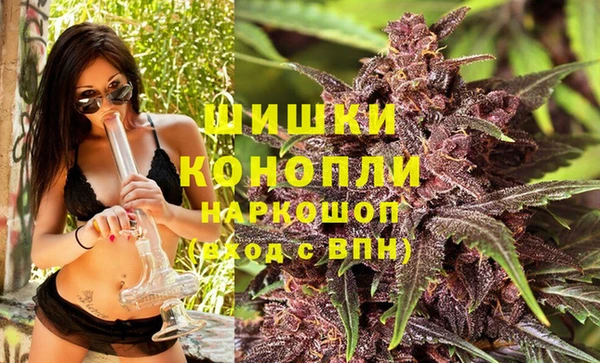 индика Медногорск