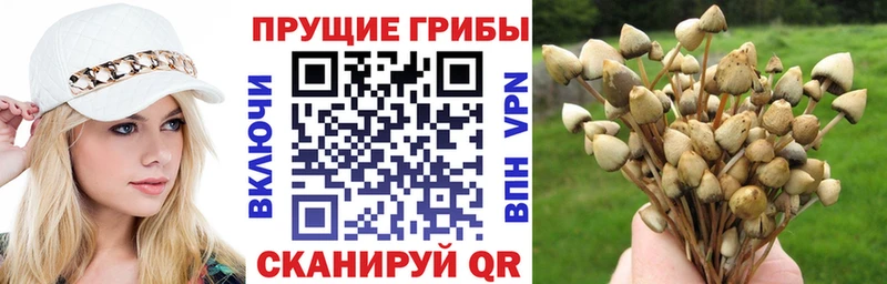 Галлюциногенные грибы мухоморы  Зверево 